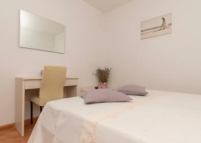 Jovize ماكارسكا