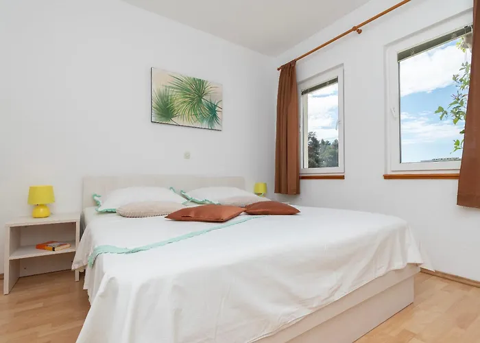 Jovize * ماكارسكا