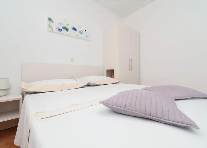 Jovize ماكارسكا