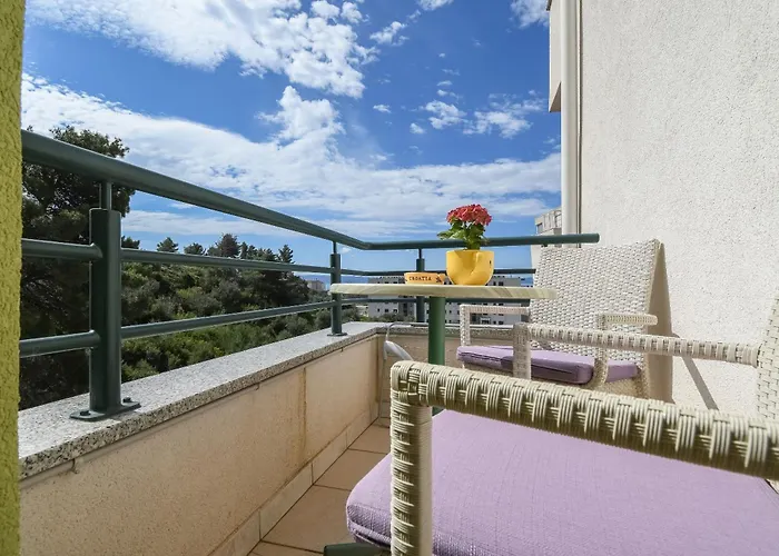 Jovize * ماكارسكا