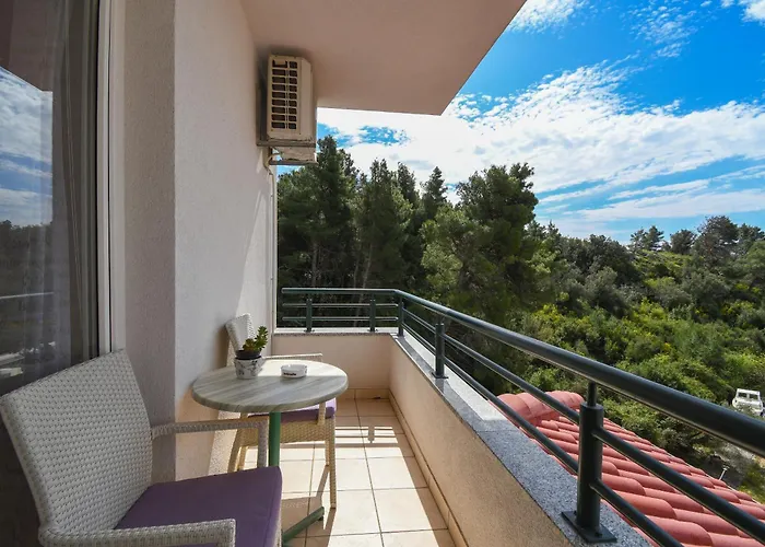 Jovize ماكارسكا